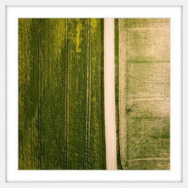 Marmont Hill "Farm Road" By Karolis Janulis Framed Painting Art Print, 12.0" x 1.5"