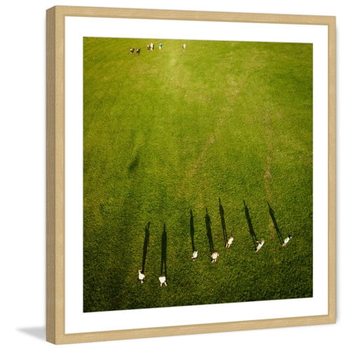Marmont Hill "Feather Trees" by Karolis Janulis Framed Painting Print