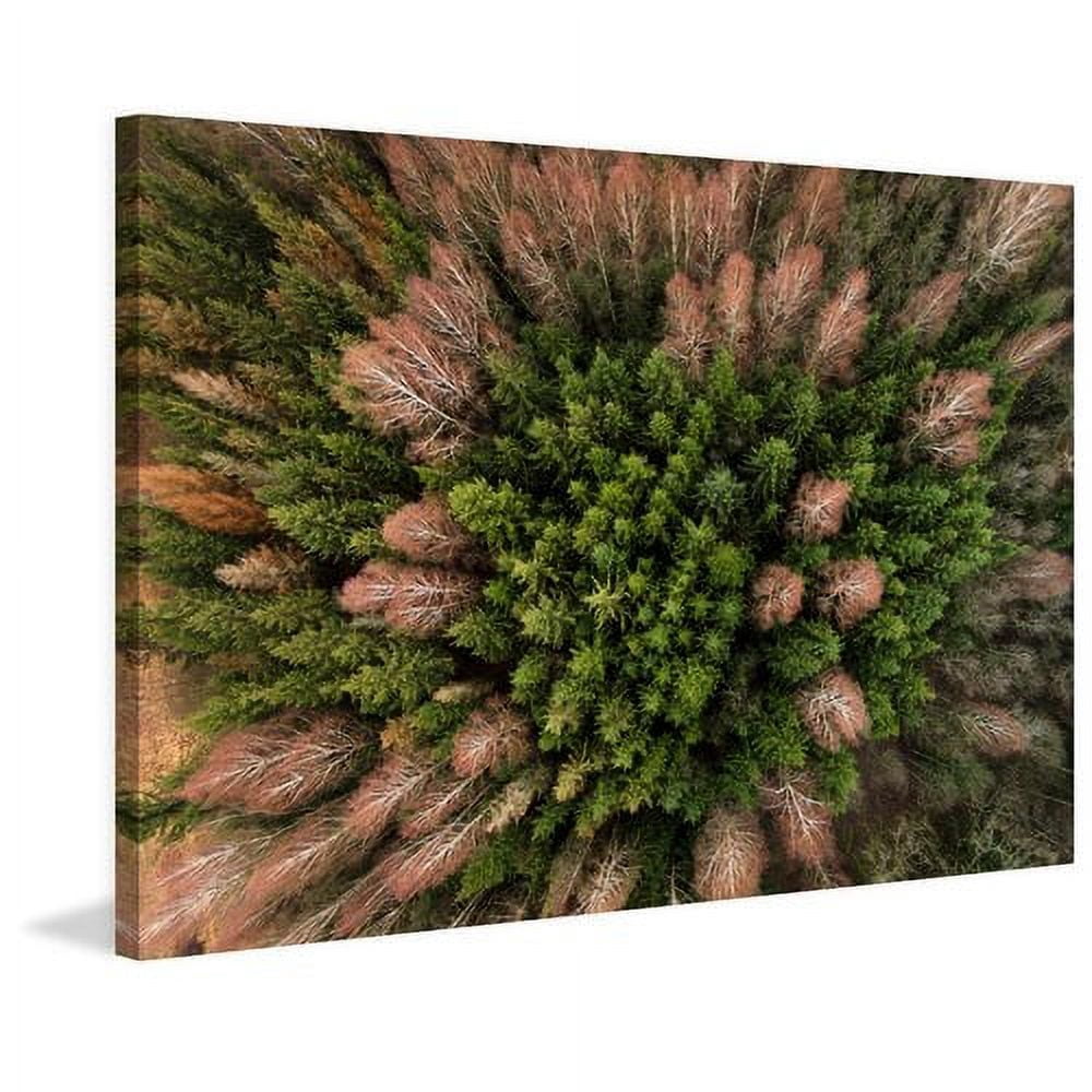 Marmont Hill "Feather Trees" by Karolis Janulis Painting Print on Wrapped Canvas
