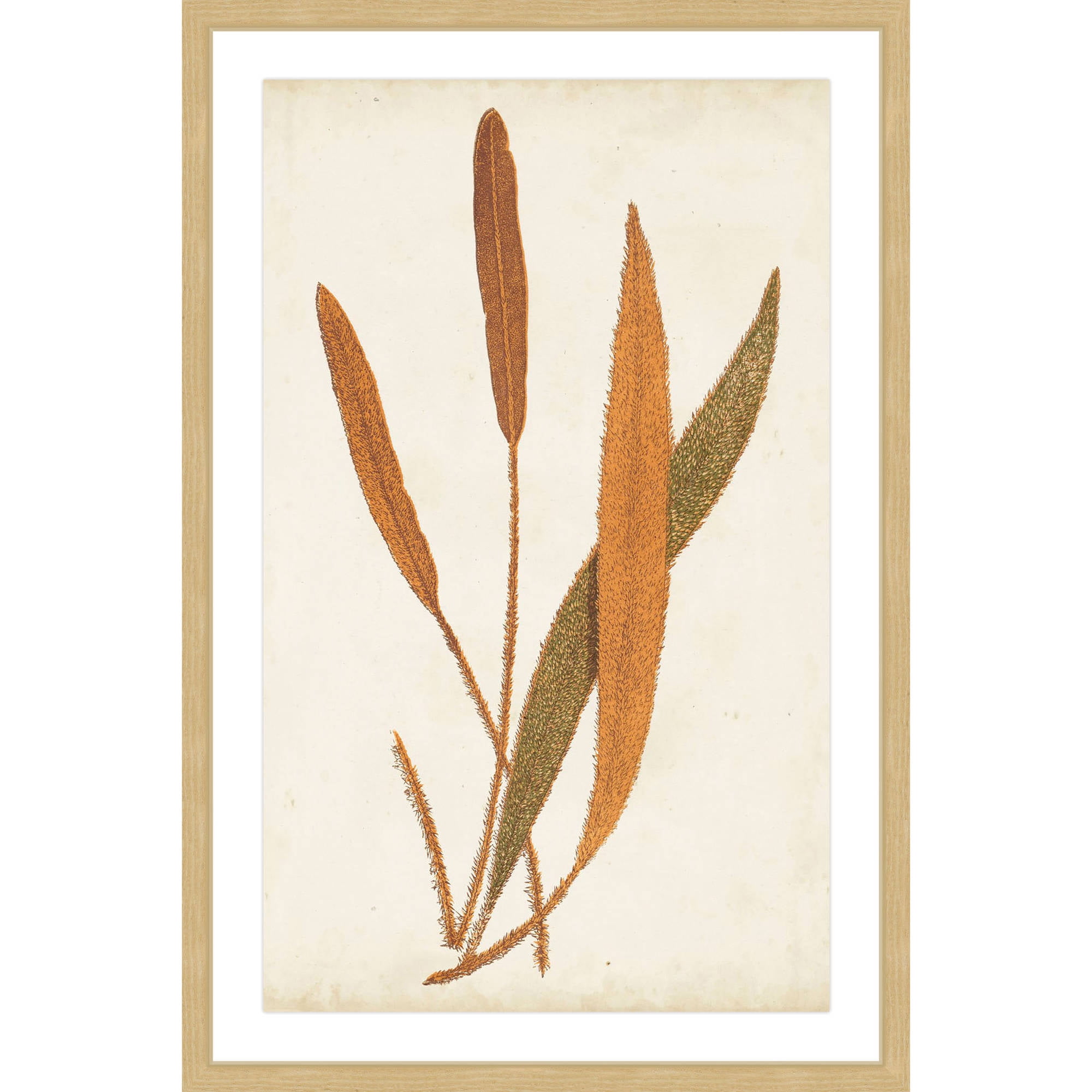 Marmont Hill "Fern Family VI" Framed Painting Print