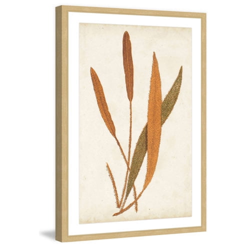 Marmont Hill "Fern Family VI" Framed Painting Print