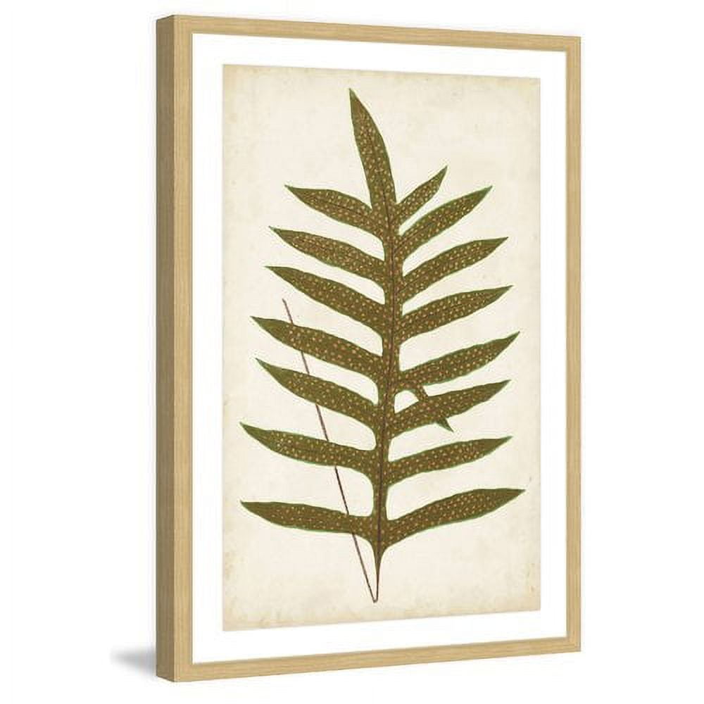 Marmont Hill "Fern Family VIII" Framed Painting Print