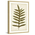thumbnail image 1 of Marmont Hill "Fern Family VIII" Framed Painting Print, 1 of 5