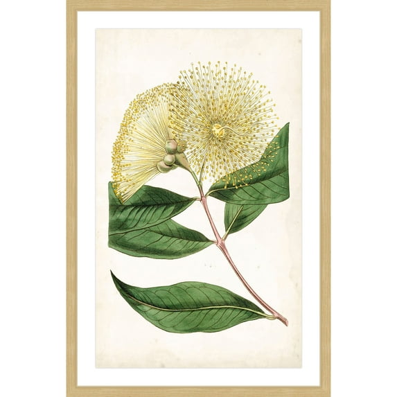 Marmont Hill "Floral Lace I" Framed Painting Print