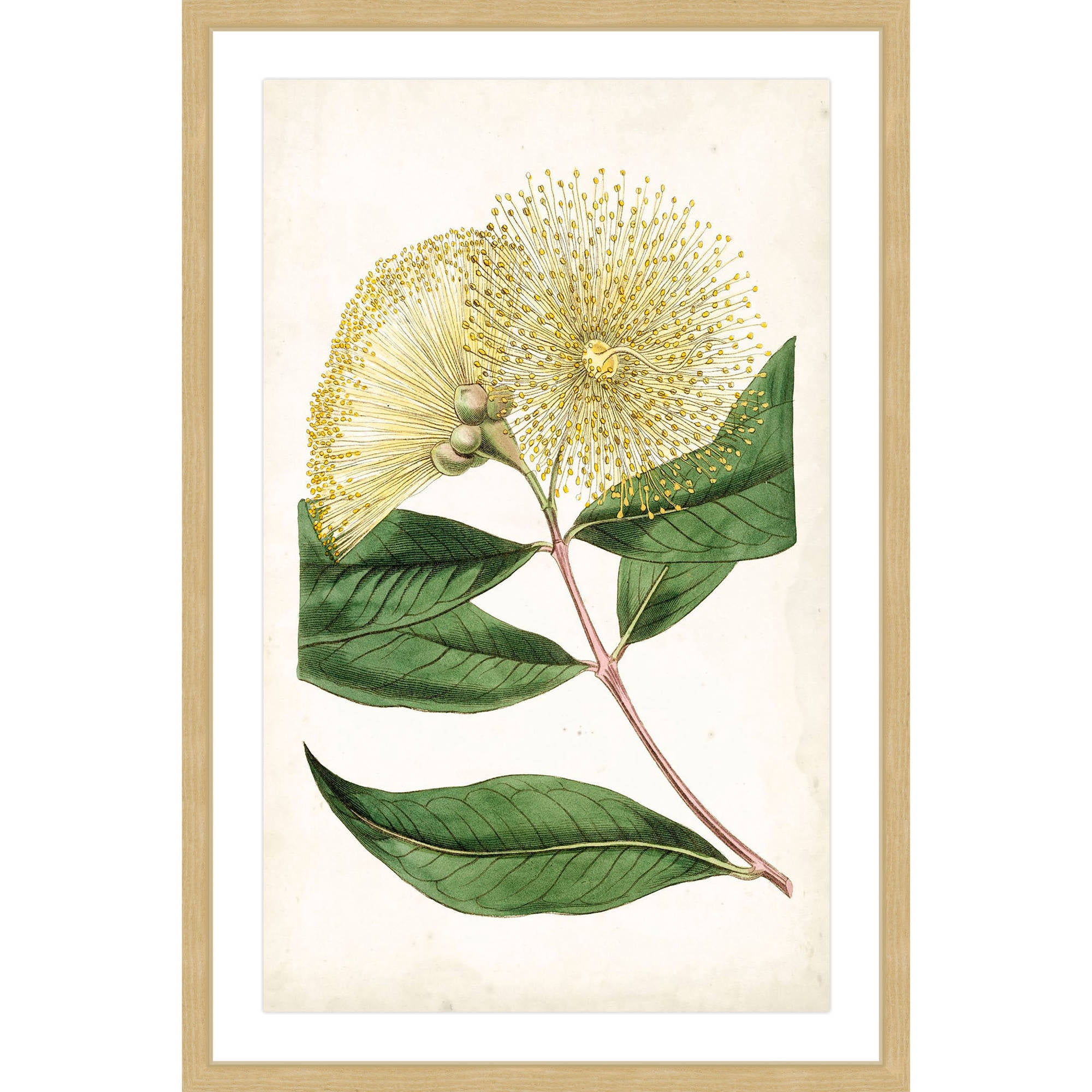 Marmont Hill "Floral Lace I" Framed Painting Print