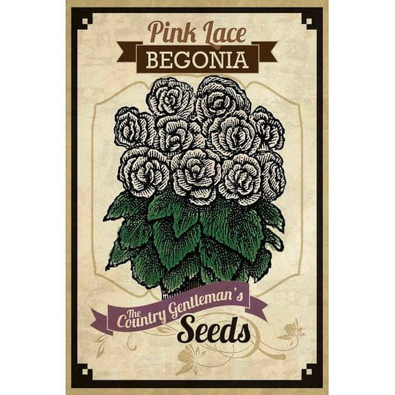 Marmont Hill "Flower Packet Begonia" Painting Print on Canvas