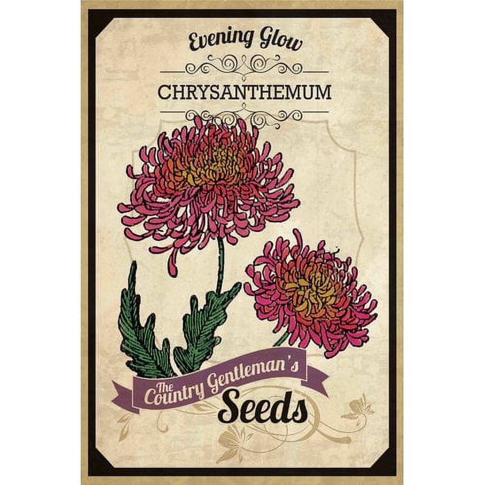 Marmont Hill "Flower Packet Chrysanthemum" Painting Print on Canvas
