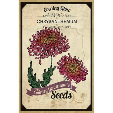 Marmont Hill "Flower Packet Chrysanthemum" Painting Print on Canvas