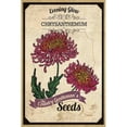 thumbnail image 1 of Marmont Hill "Flower Packet Chrysanthemum" Painting Print on Canvas, 1 of 7