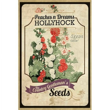 Marmont Hill "Flower Packet Hollyhock" Painting Print on Canvas