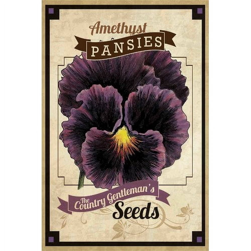 Marmont Hill "Flower Packet Pansy" Painting Print on Canvas