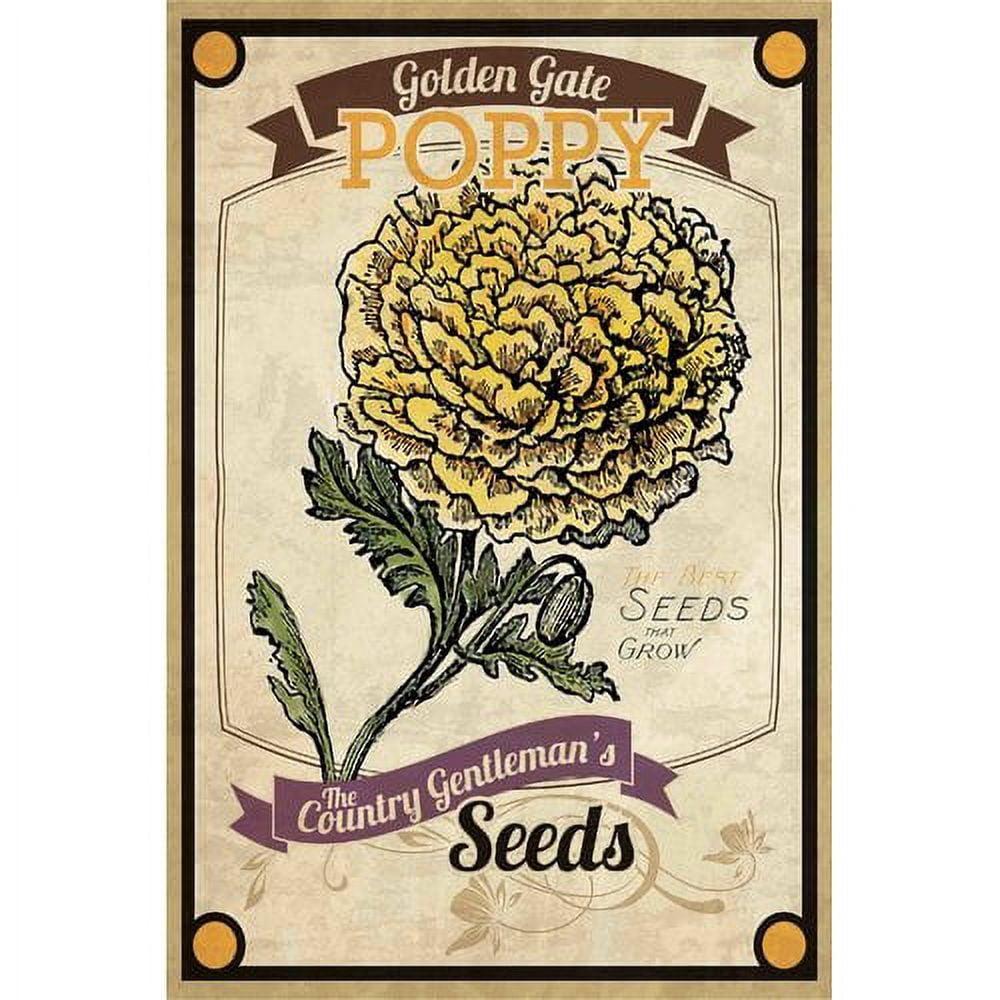 Marmont Hill "Flower Packet Poppy" Painting Print on Canvas