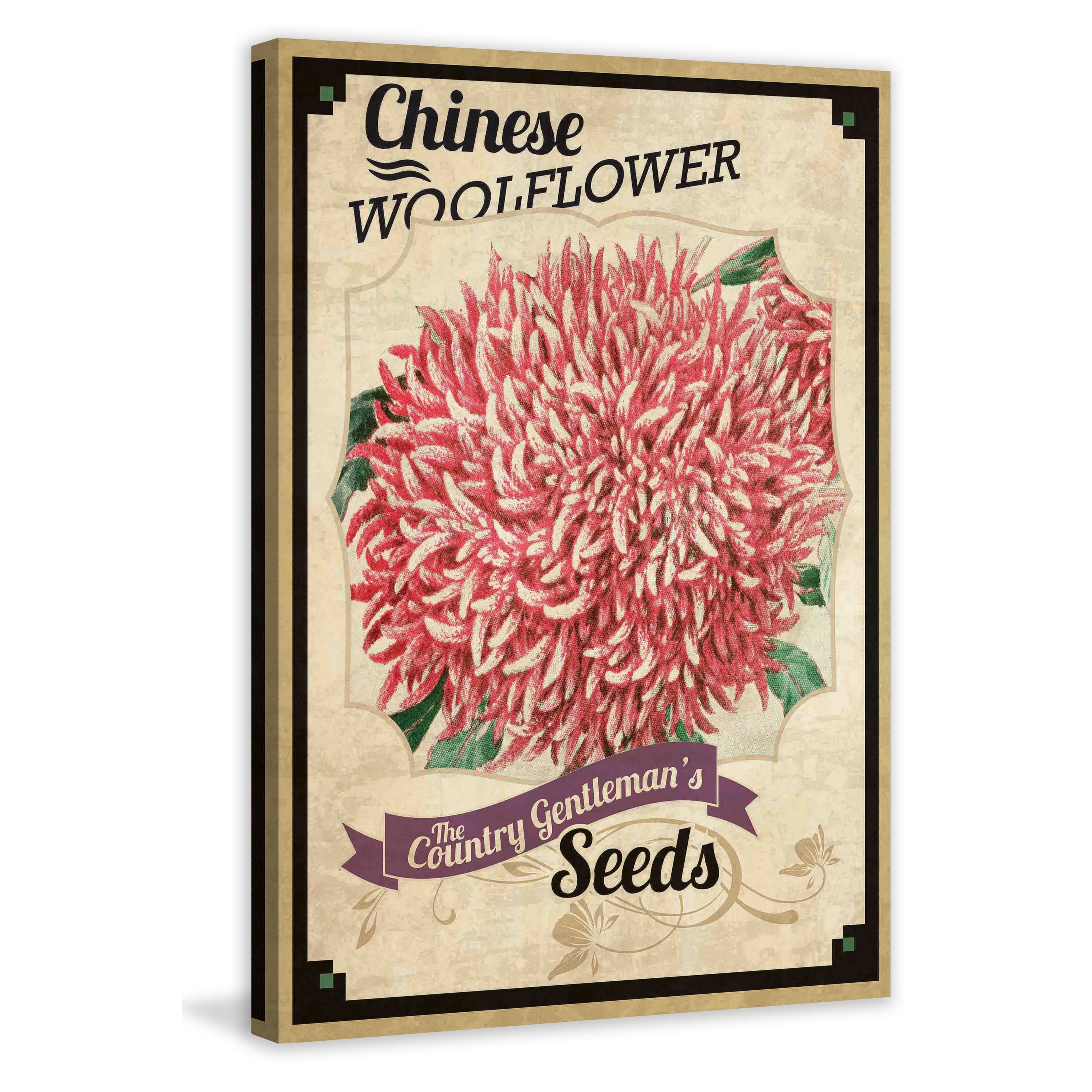 Marmont Hill "Flower Packet Woolflower" Painting Print on Canvas