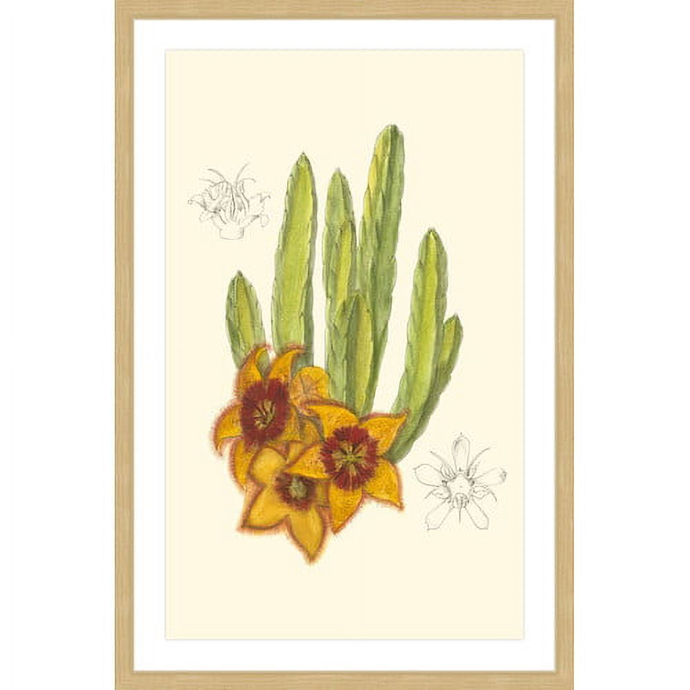 Marmont Hill "Flowering Cactus III" Framed Painting Print