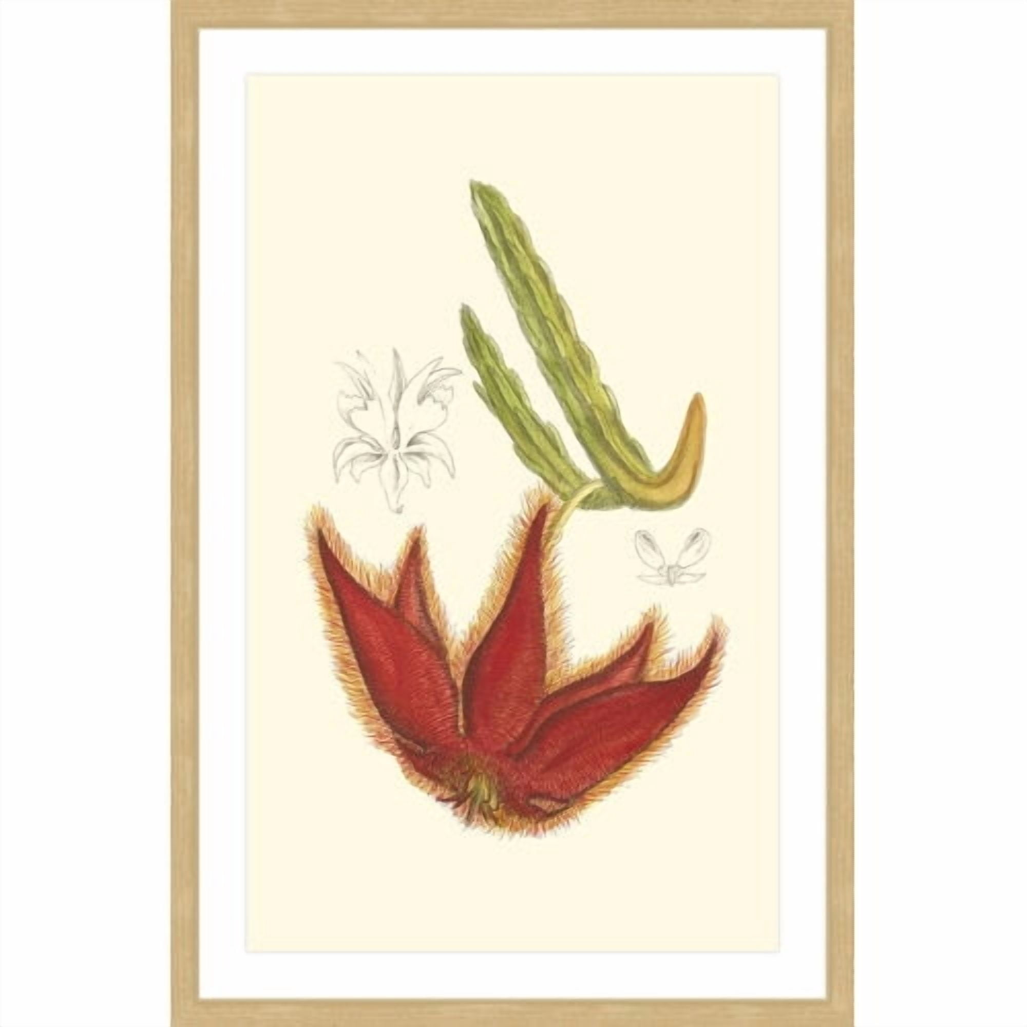 Marmont Hill "Flowering Cactus IV" Framed Painting Print