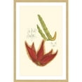 thumbnail image 1 of Marmont Hill "Flowering Cactus IV" Framed Painting Print, 1 of 5
