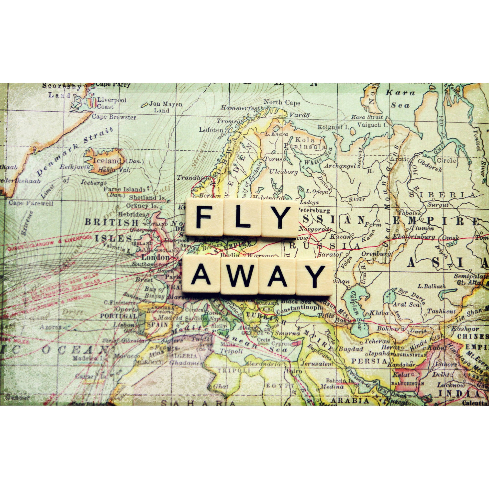 Marmont Hill "Fly Away" Sylvia Cook Painting Print on Canvas
