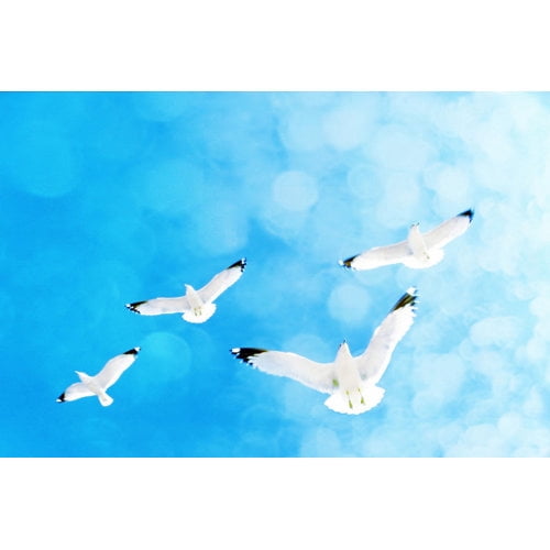 Marmont Hill "Fly Free" by Robert Dickinson Painting Print on Canvas