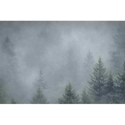 Marmont Hill "Foggy Pines" Painting Print on Canvas