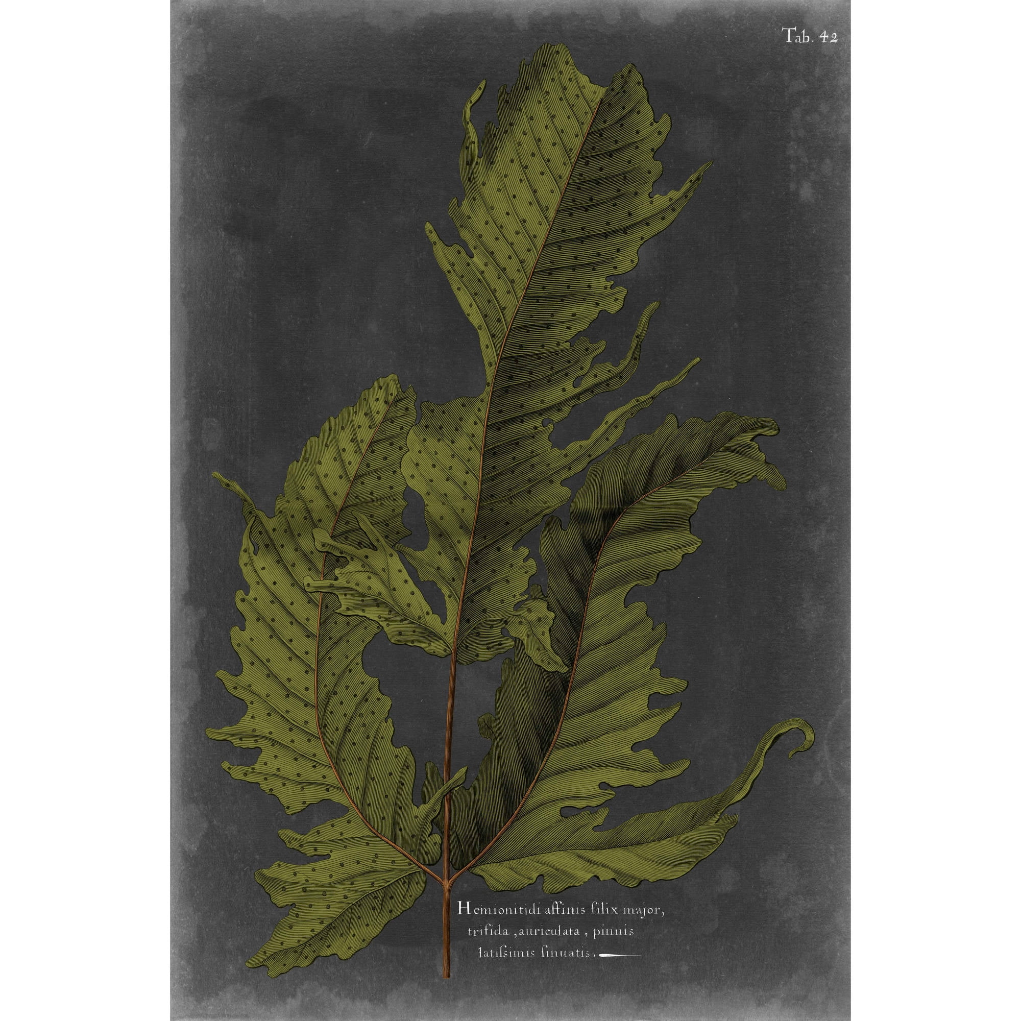 Marmont Hill "Foliage Dramatique I" Painting Print on Wrapped Canvas