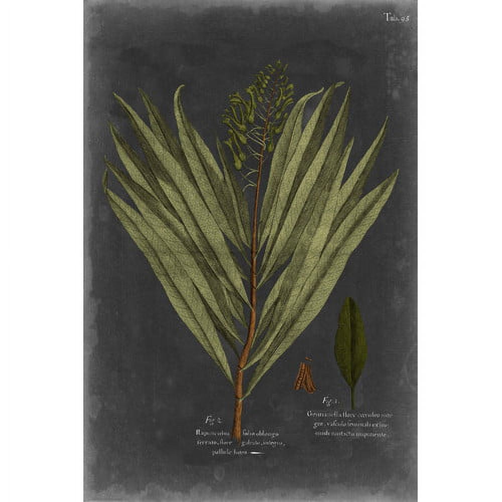Marmont Hill "Foliage Dramatique II" Painting Print on Wrapped Canvas