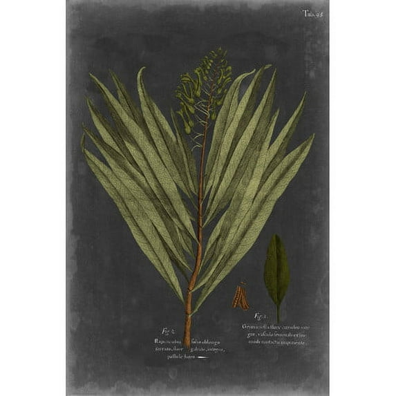 Marmont Hill "Foliage Dramatique II" Painting Print on Wrapped Canvas