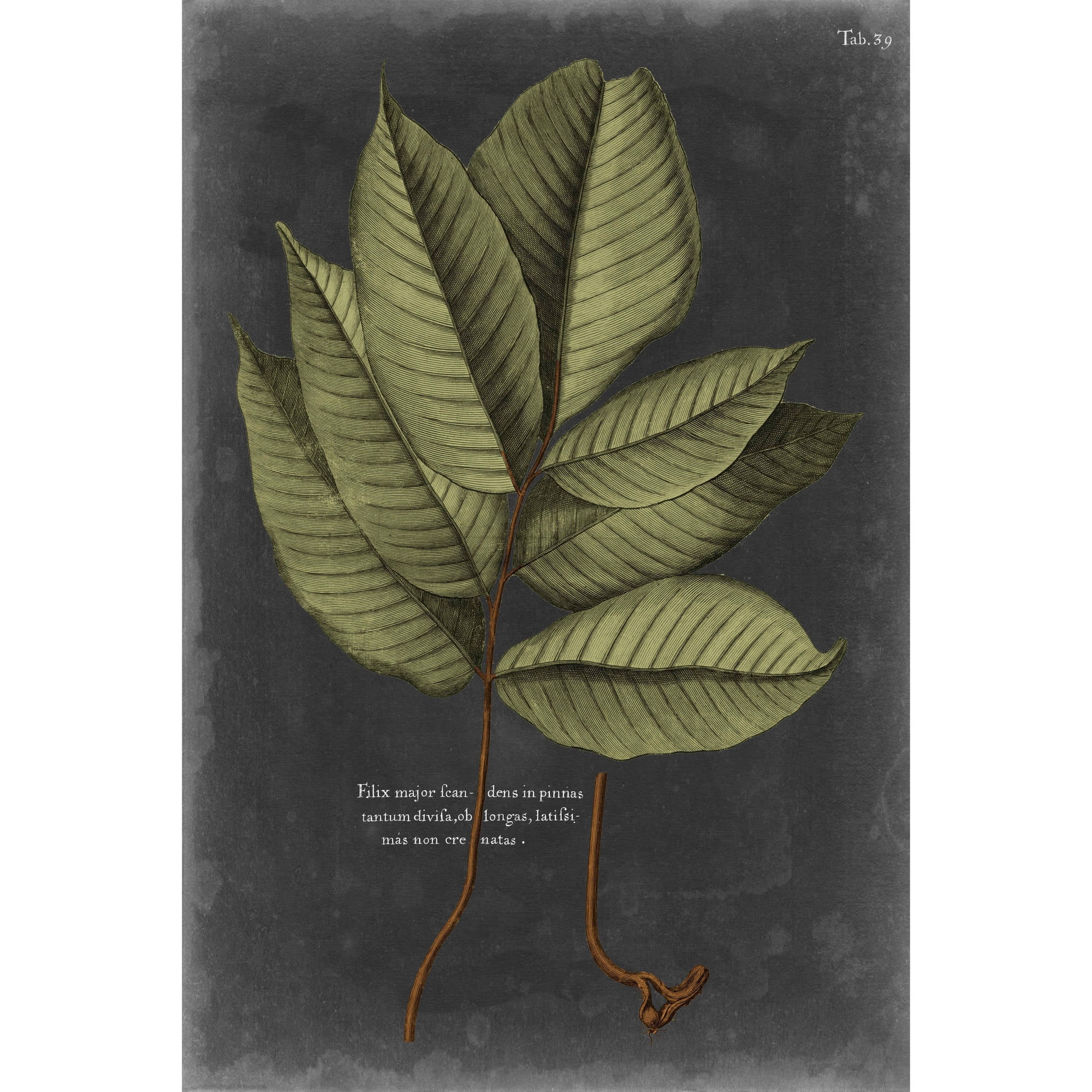 Marmont Hill "Foliage Dramatique III" Painting Print on Wrapped Canvas