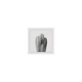 thumbnail image 1 of Marmont Hill Four Cacti Framed Painting Print, 1 of 3