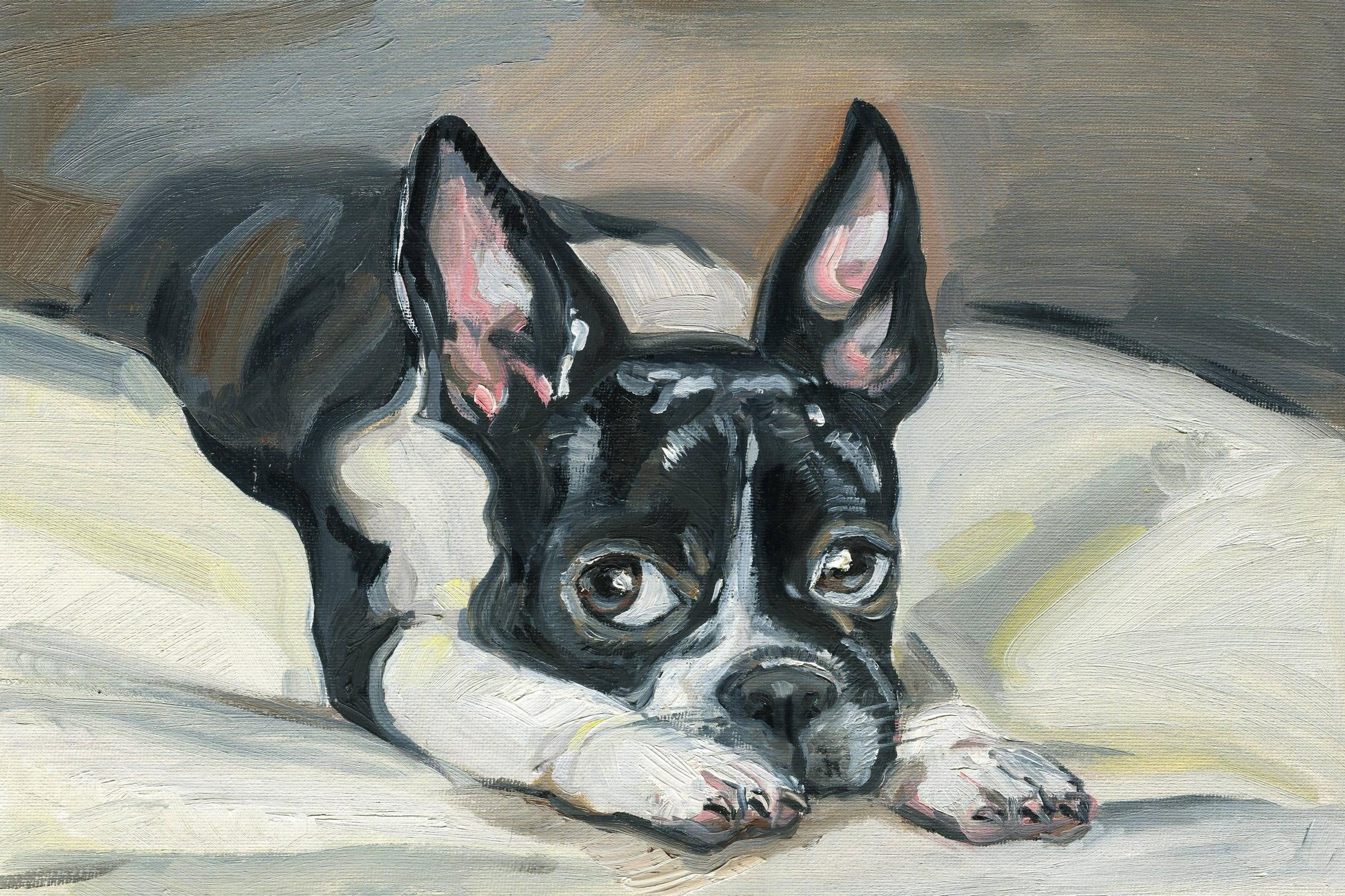 Marmont Hill Frenchie Eyes Canvas Wall Art