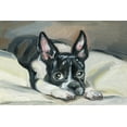thumbnail image 1 of Marmont Hill Frenchie Eyes Canvas Wall Art, 1 of 7