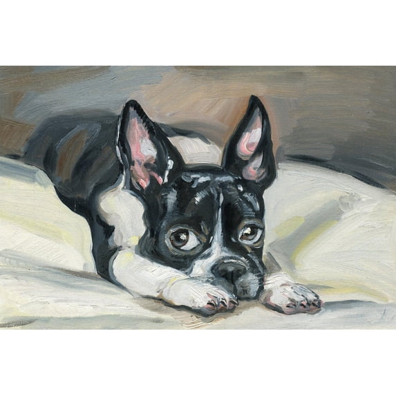 Marmont Hill Frenchie Eyes Canvas Wall Art