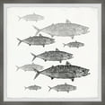 thumbnail image 1 of Marmont Hill Freshwater Fish Framed Wall Art, 1 of 6