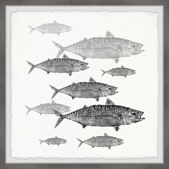 Marmont Hill Freshwater Fish Framed Wall Art