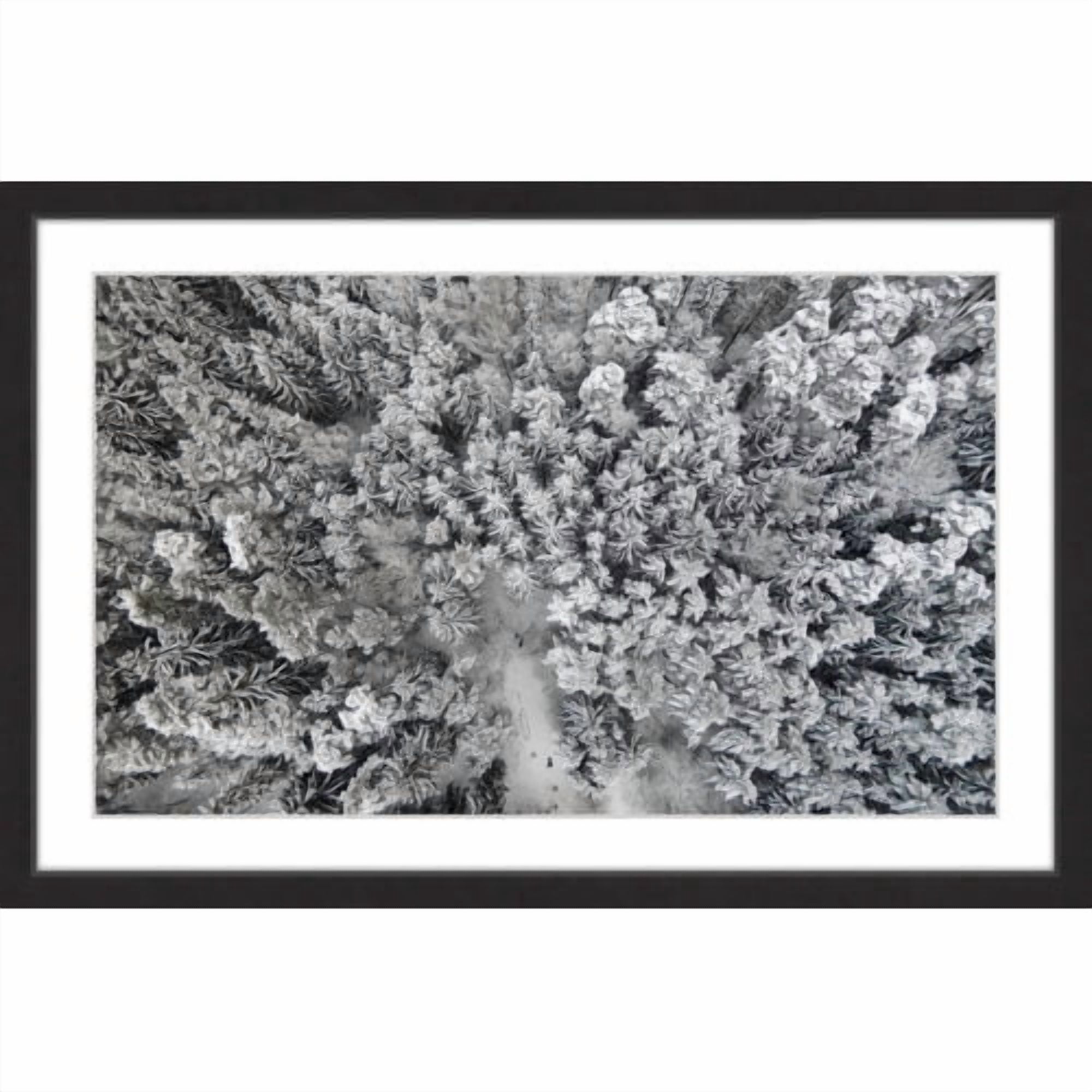 Marmont Hill "Frozen Friends" By Karolis Janulis Framed Painting Art Print, 24.0" x 1.5"