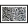 thumbnail image 1 of Marmont Hill "Frozen Friends" By Karolis Janulis Framed Painting Art Print, 45.0" x 1.5", 1 of 5