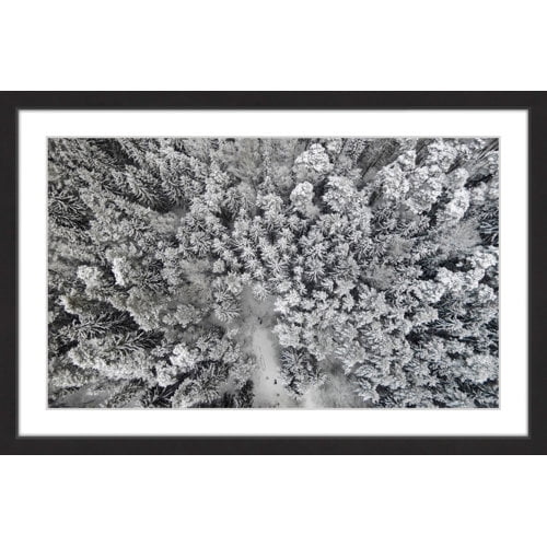 Marmont Hill "Frozen Friends" by Karolis Janulis Framed Painting Print