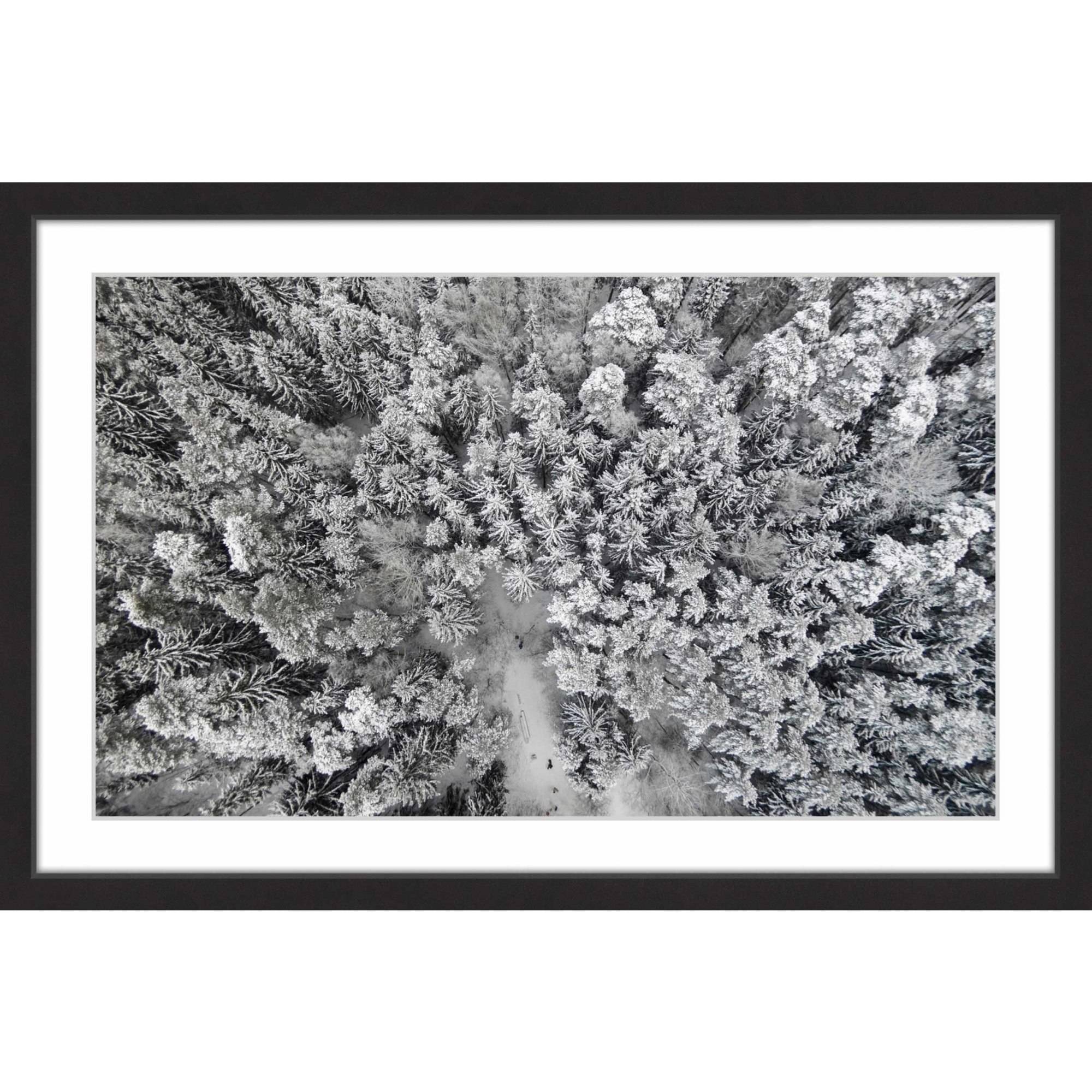 Marmont Hill "Frozen Friends" by Karolis Janulis Framed Painting Print