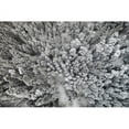 thumbnail image 1 of Marmont Hill "Frozen Friends" by Karolis Janulis Painting Print on Wrapped Canvas, 1 of 1