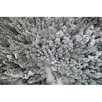 Marmont Hill "Frozen Friends" by Karolis Janulis Painting Print on Wrapped Canvas