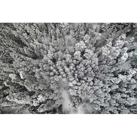 Marmont Hill "Frozen Friends" by Karolis Janulis Painting Print on Wrapped Canvas