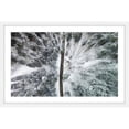 thumbnail image 1 of Marmont Hill Frozen Printed Scenic & Landscapes Framed Photographic Art, by Karolis Janulis, 1 of 5