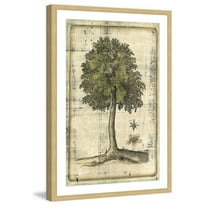 Marmont Hill "Fruitful Realm II" Framed Painting Print
