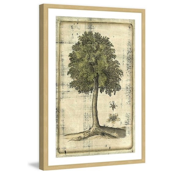 Marmont Hill "Fruitful Realm II" Framed Painting Print