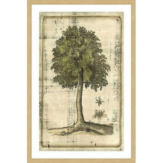 Marmont Hill "Fruitful Realm II" Framed Painting Print