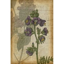 Marmont Hill "Fucshia Flowers I" Painting Print on Wrapped Canvas