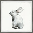 thumbnail image 1 of Marmont Hill Furry Bunny Framed Wall Art, 18.00" x 1.50", 1 of 6