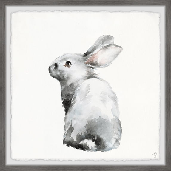 Marmont Hill Furry Bunny Framed Wall Art, 18.00" x 1.50"