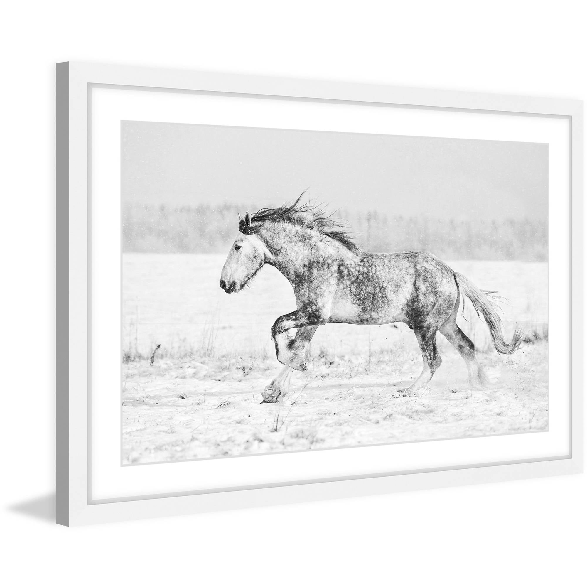 Marmont Hill "Galloping Joy" Framed Painting Print