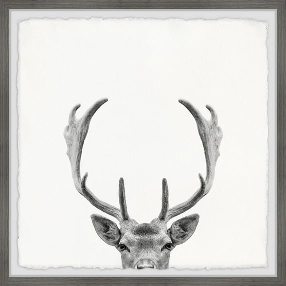 Marmont Hill Giant Antlers Framed Wall Art, 18" x 18"