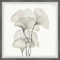 Marmont Hill Ginkgo Biloba Leaves Framed Wall Art